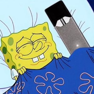 Meet your Posher, Brady